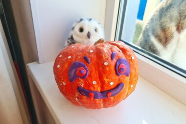 Halloween party script for children