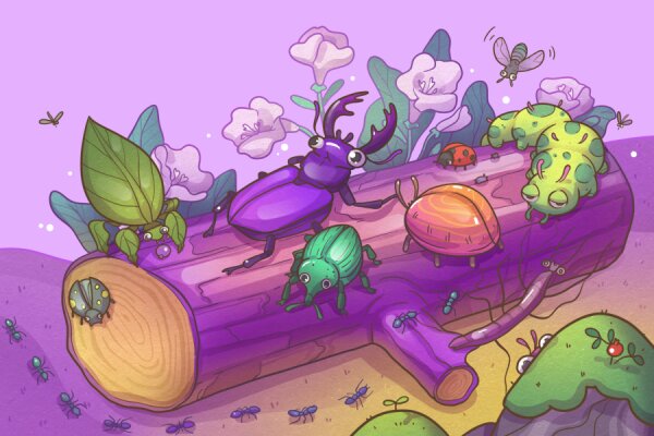 Мир насекомых, 10+